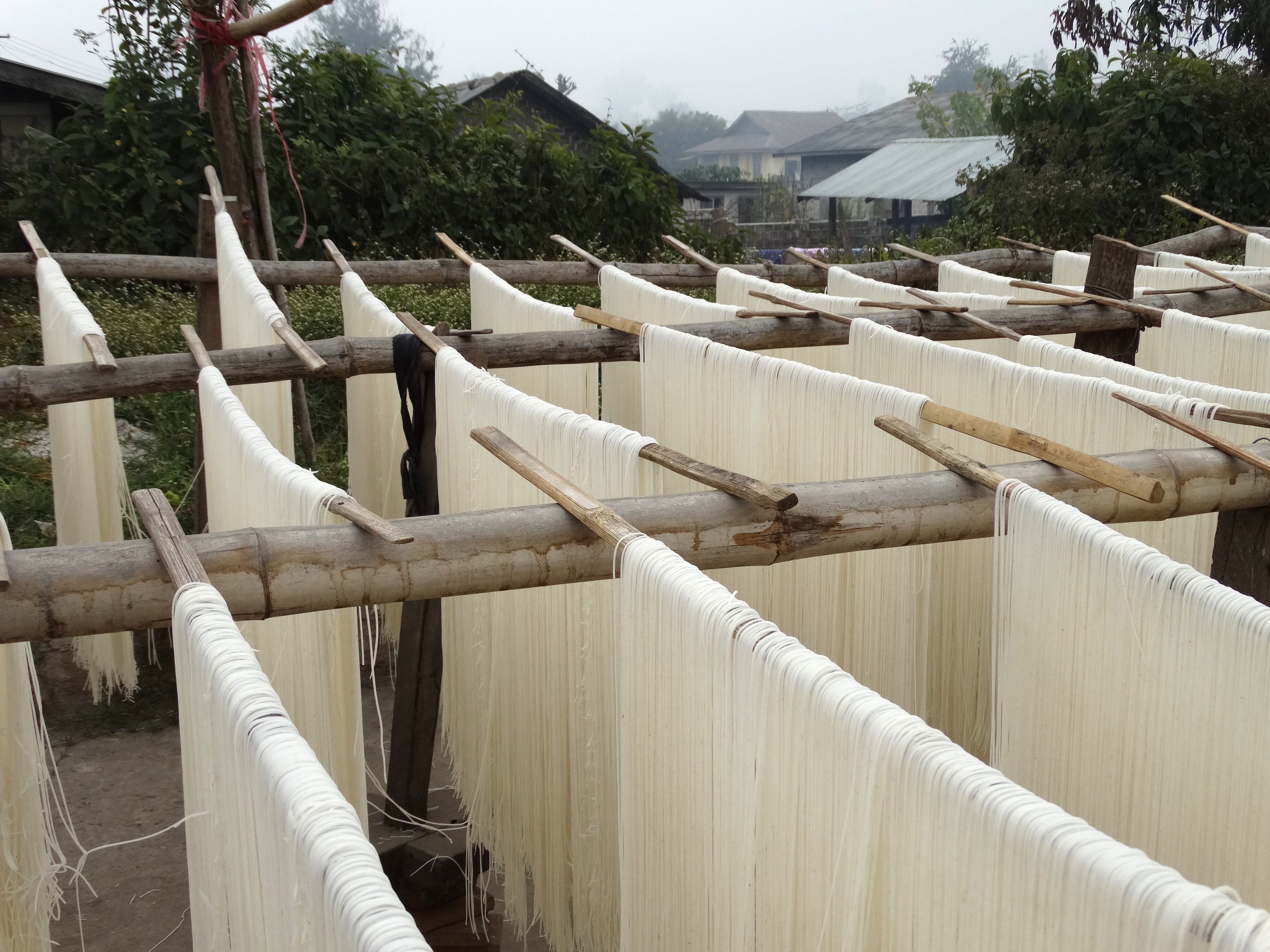 Rice noodles drying on bamboo racks in Hsipaw, Myanmar