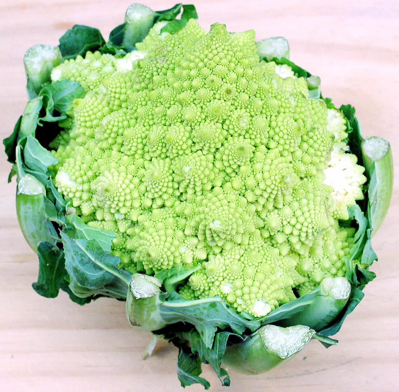 Romanesco broccoli — fractal spiral floret structure